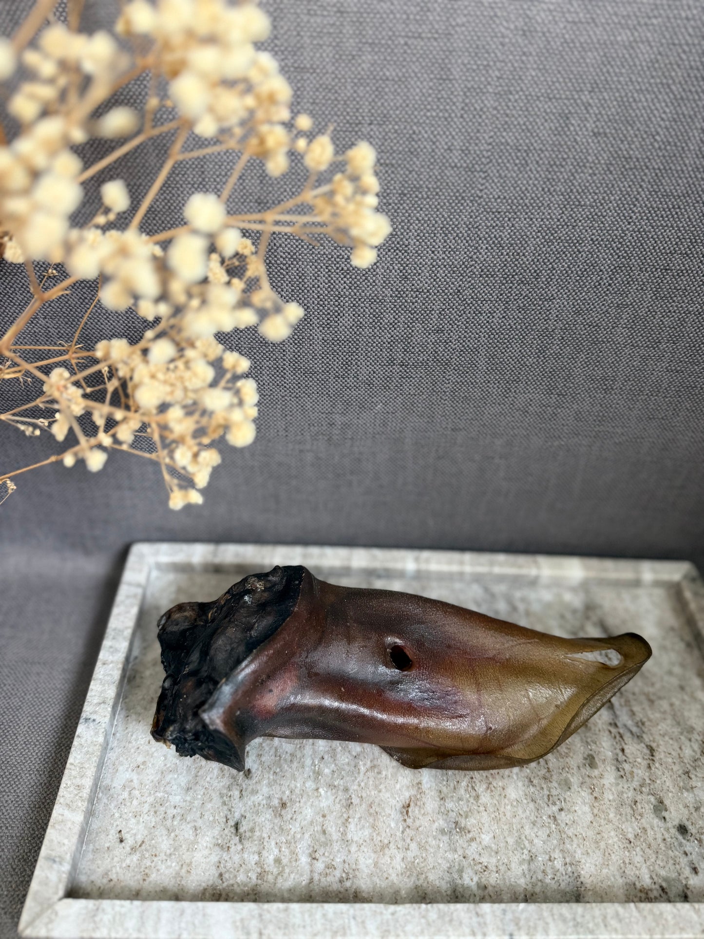 Oreille de boeuf
