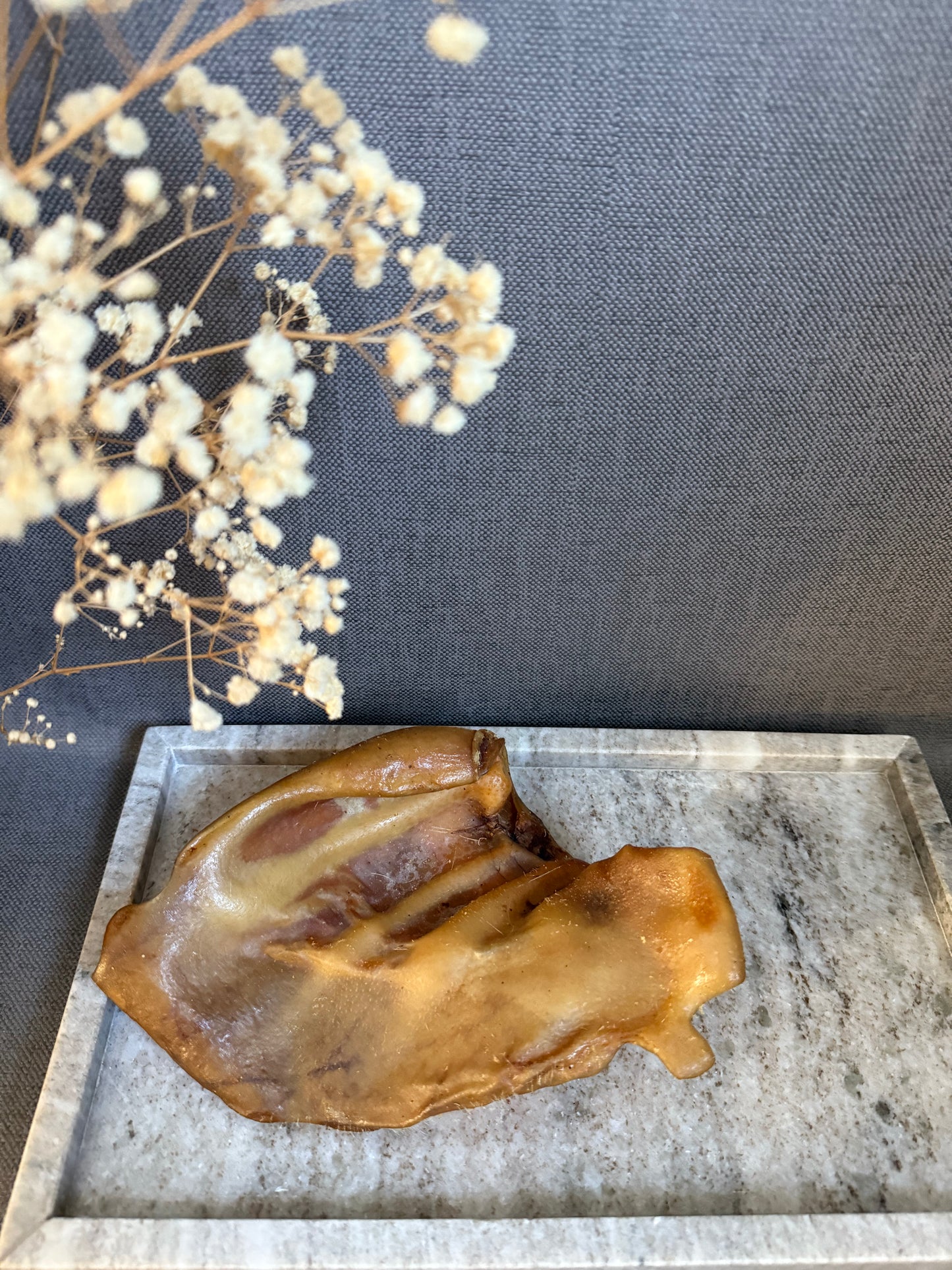 Oreille de porc