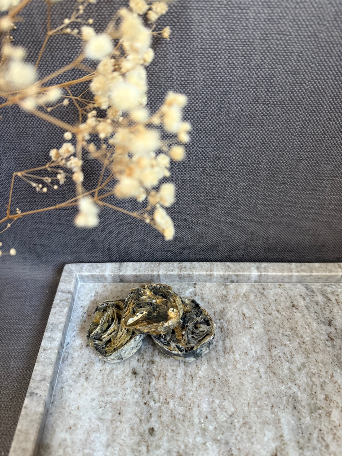 Bouchées de morue