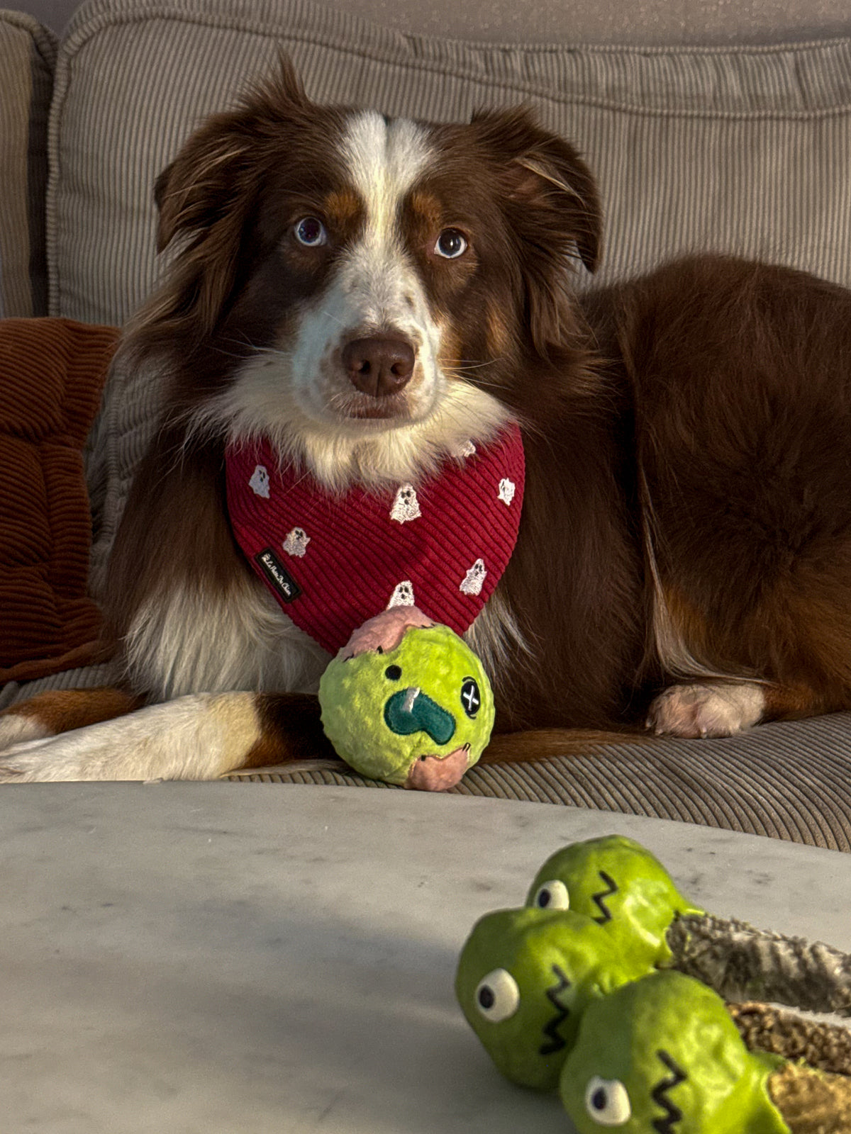Zombie Ball