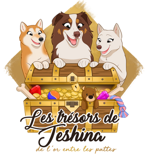 Les trésors de Jeshina