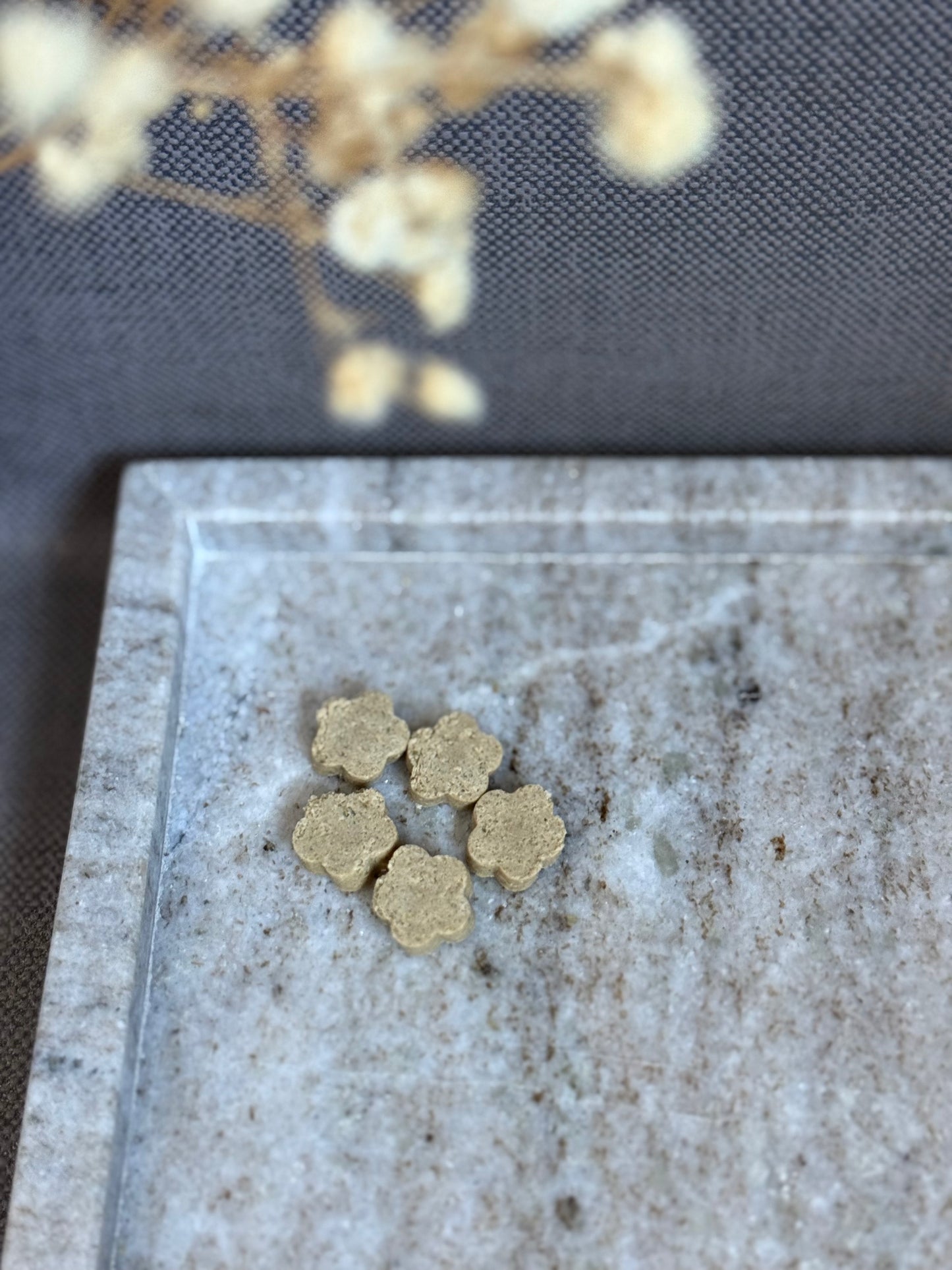 Friandises Dog-quiri fraise