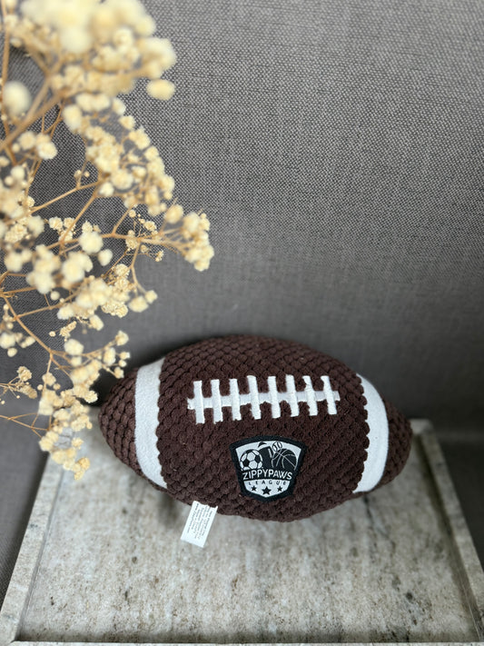 Ballon de football américain