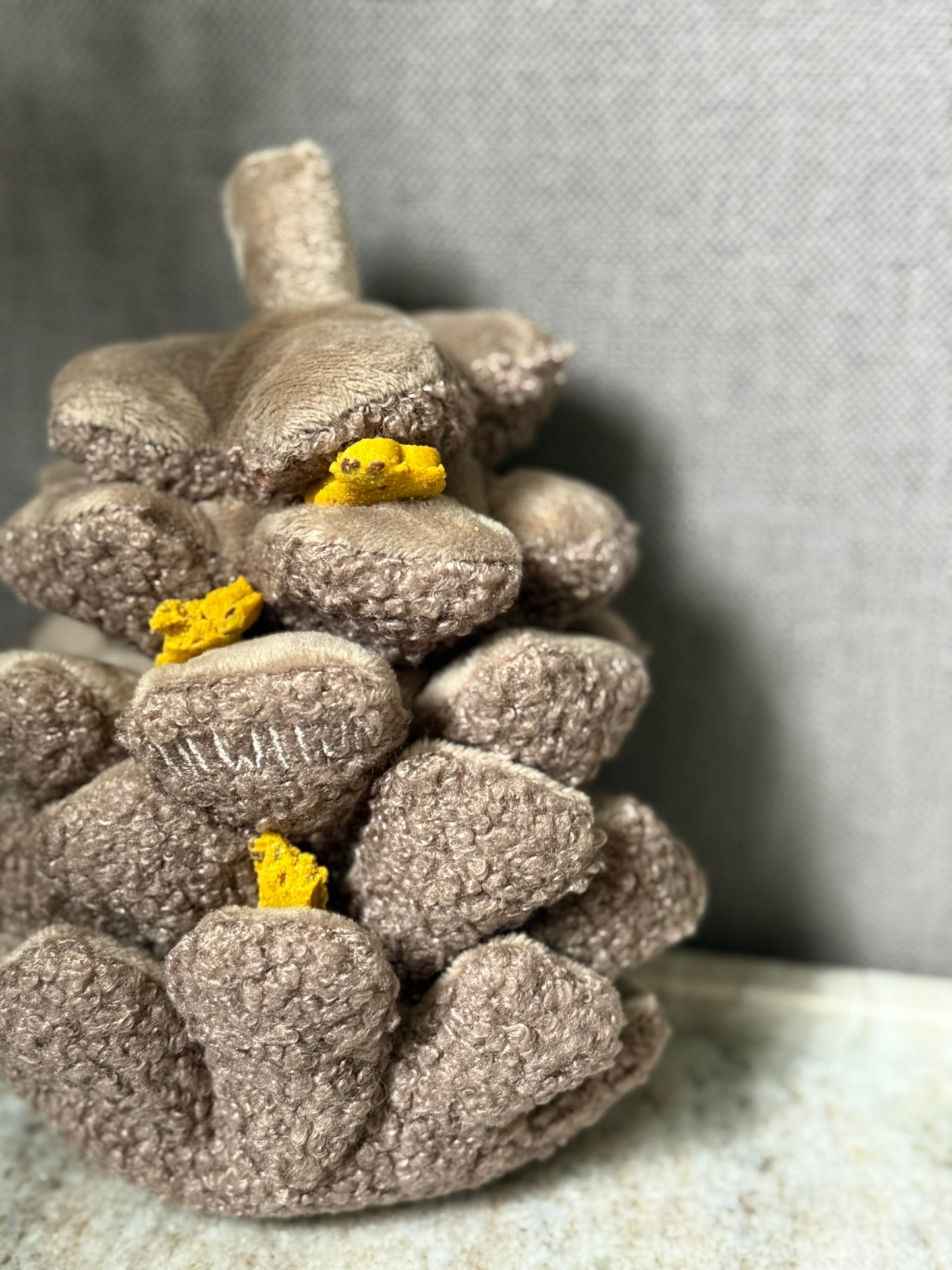 Pine wood - peluche de fouille