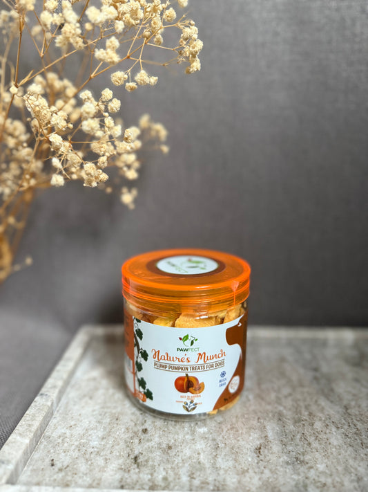 Citrouille lyophilisée
