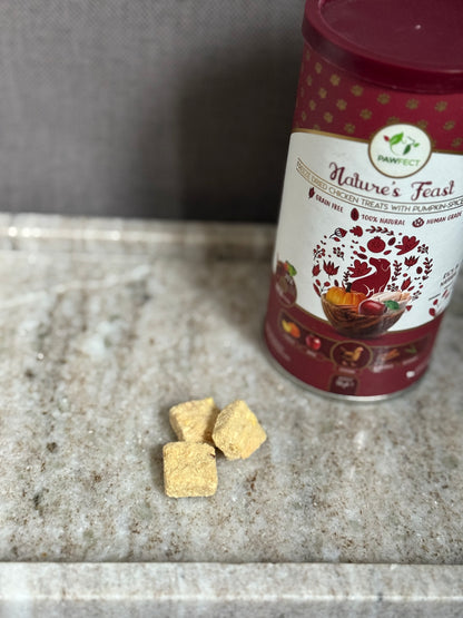 Friandises lyophilisées pomme-cannelle