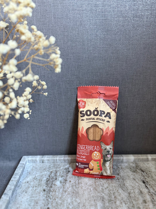 Bâtonnets dentaires Gingerbread Biscuit