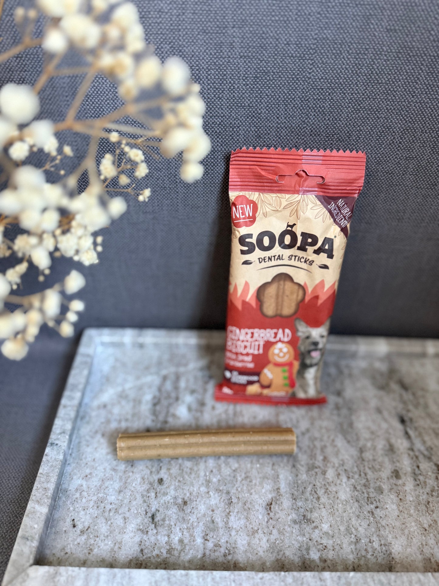 Bâtonnets dentaires Gingerbread Biscuit