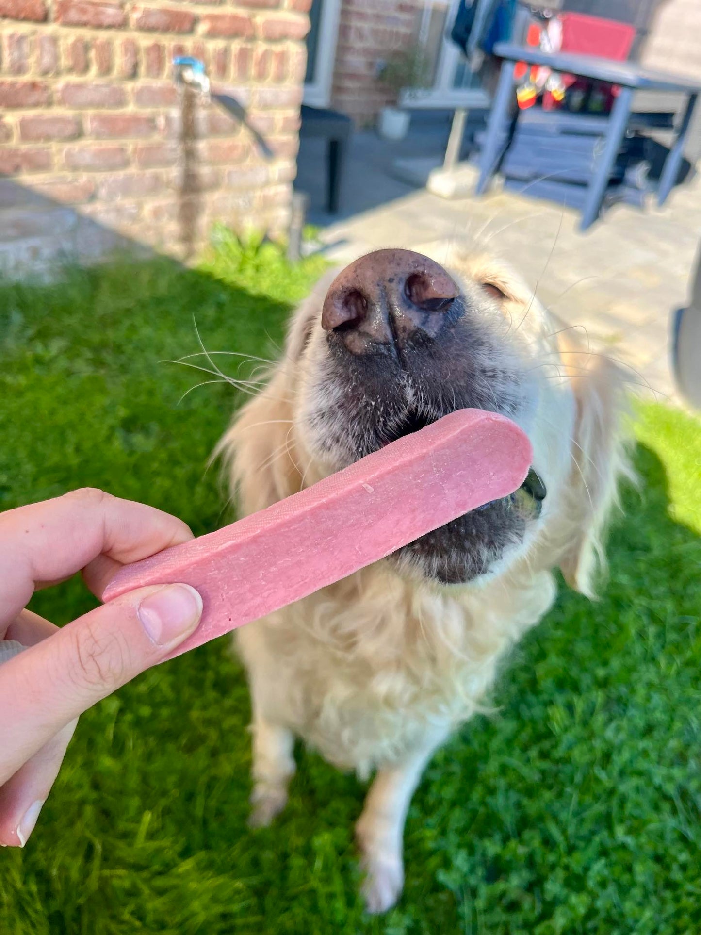 Fromage de Yak à la fraise