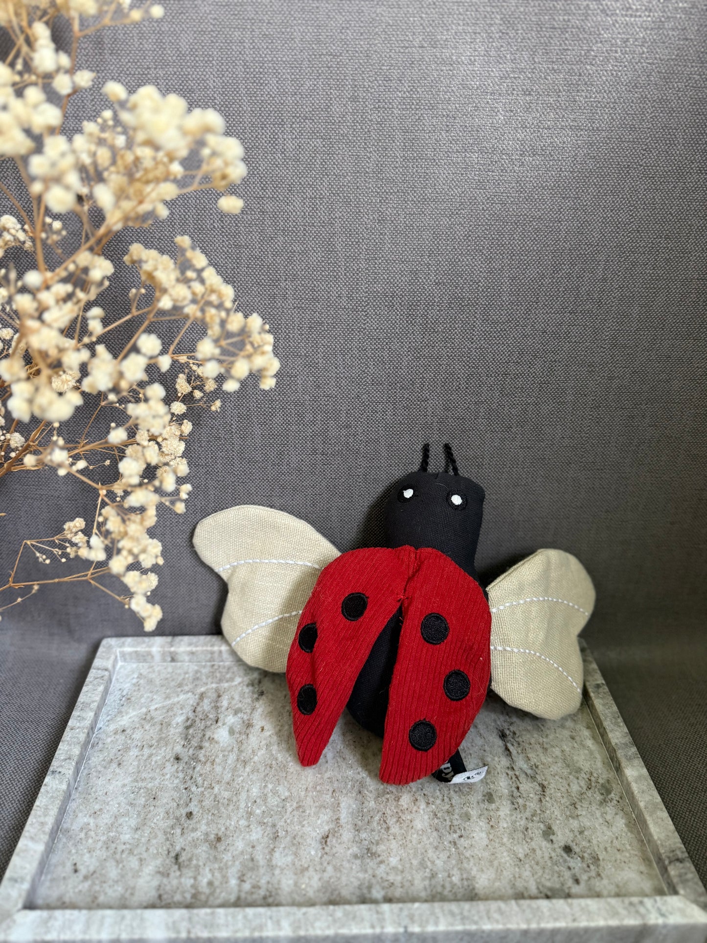 Ladybug