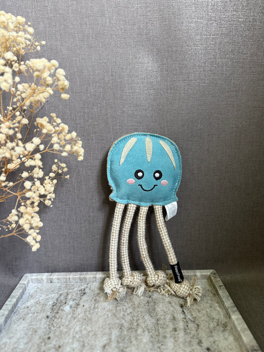 Jellyfish