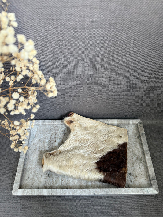 Plaque de boeuf avec poils