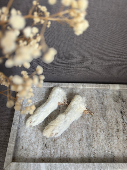 Pattes de lapin avec poils