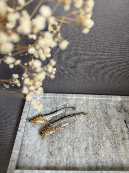 Sprats de la mer Baltique