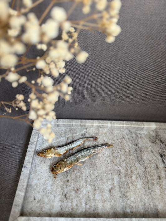 Sprats de la mer Baltique