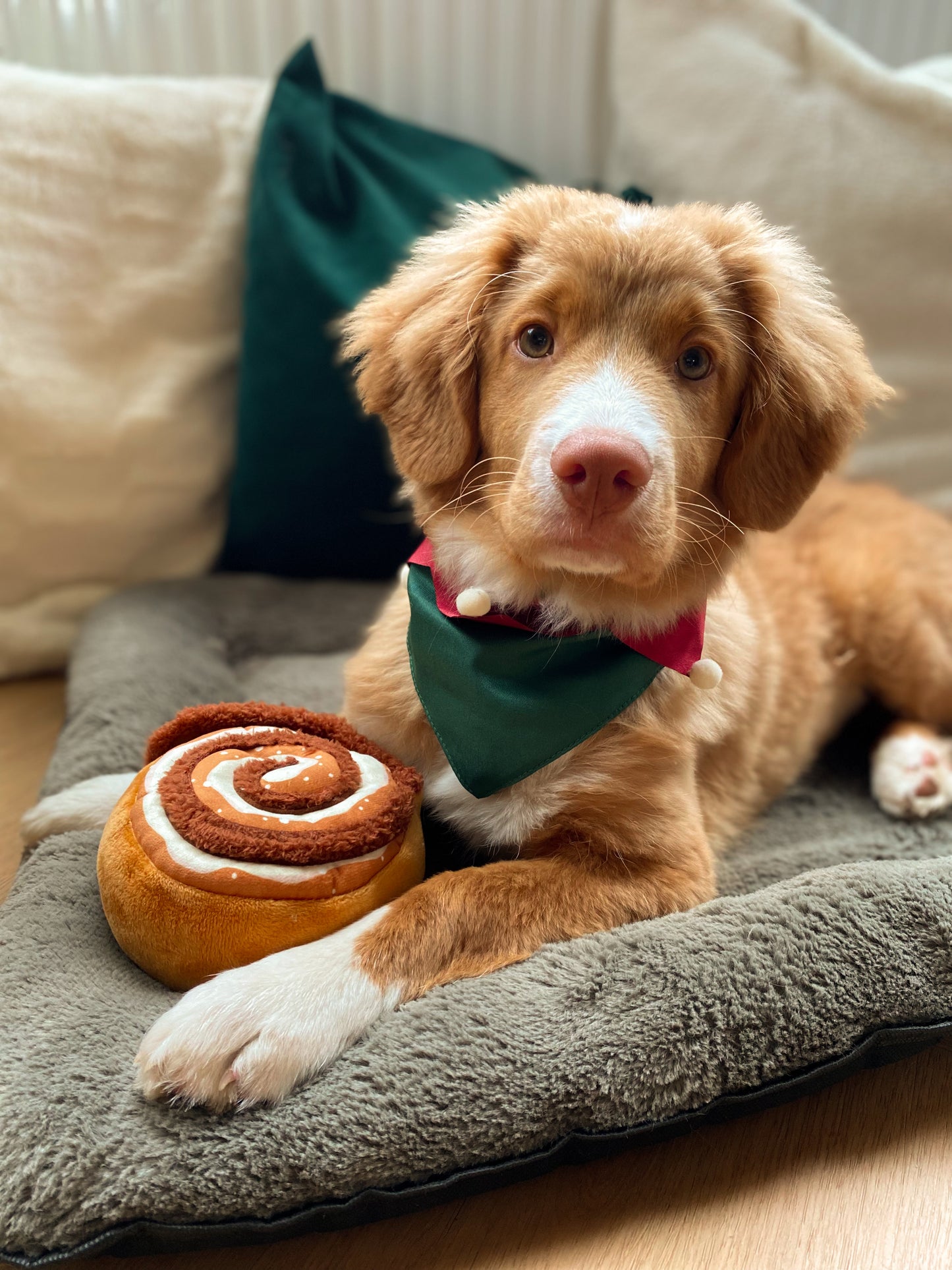 Cinnamon rolls - Peluche de fouille